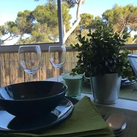 And Park Welcome To Surfcity Carcavelos *