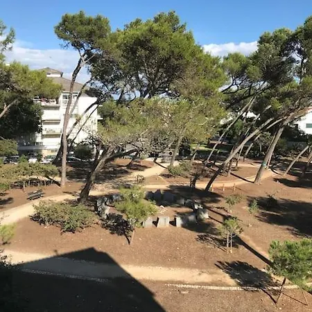 And Park Welcome To Surfcity Carcavelos Parede